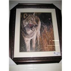 Framed Print, Wolf