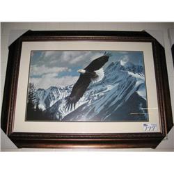Framed Print, Flying High