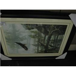 Framed Print, Eagle