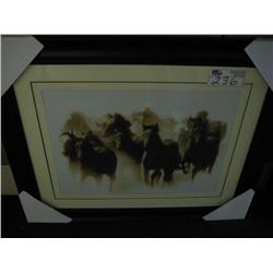 Framed Print, Wild Horses