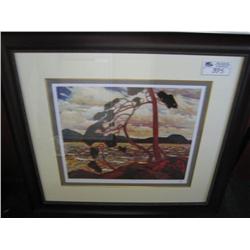 Limited Edition Print