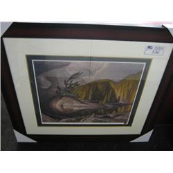 Limited Edition Print