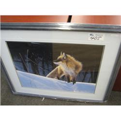 Framed Print, 'on Alert'