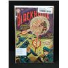 Image 1 : DC COMICS NO.1 BLACKHAWK