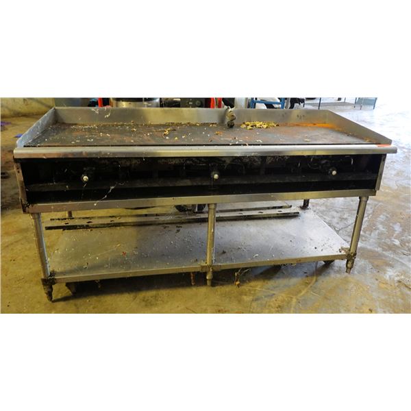 Metal Griddle w/ Backsplash & Undershelf 72" x 30" x 37"H