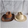 Image 1 : Lot of 2 Cowboy Hats