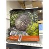 Image 2 : Aurora Flame Solar Globe Light with Decorative Design