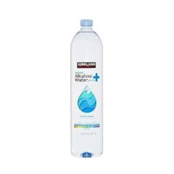 Kirkland Signature Ionized Alkaline Water, 17 x 1L Bottles, pH 9.5+