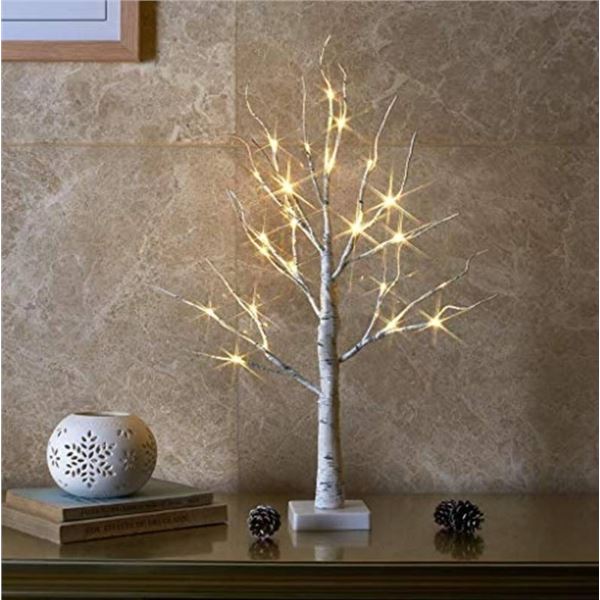 EAMBRITE Tabletop TreeÂ  Decoration, Mini Birch Tree with Lights, 24 LED Lighted Money Tree White Tw