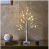 Image 1 : EAMBRITE Tabletop TreeÂ  Decoration, Mini Birch Tree with Lights, 24 LED Lighted Money Tree White Tw