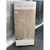 Image 3 : EAMBRITE Tabletop TreeÂ  Decoration, Mini Birch Tree with Lights, 24 LED Lighted Money Tree White Tw