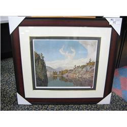 Limited Edition Print 244/495