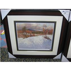 Limited Edition Print 163/1095