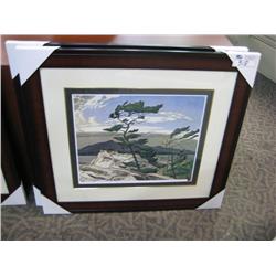 Framed Limited Edition Print