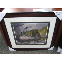 Framed Limited Edition Print