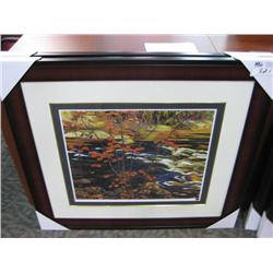 Framed Limited Edition Print