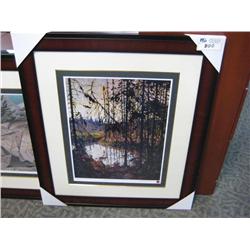 Framed Limited Edition Print