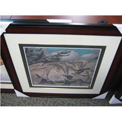 Framed Limited Edition Print