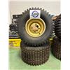 Image 1 : NO RESERVE TRX/ATC Honda 250R Rims & Tires