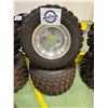 Image 1 : NO RESERVE TRX/ATC Honda 250R Rims & Tires