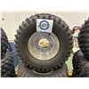 Image 2 : NO RESERVE TRX/ATC Honda 250R Rims & Tires
