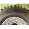 Image 2 : NO RESERVE TRX/ATC Honda 250R Rim & Tire