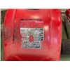 Image 8 : RESERVE LIFTED!! 1985 Honda ATC 250ES Big Red