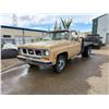 Image 1 : 1973 Chevrolet C30