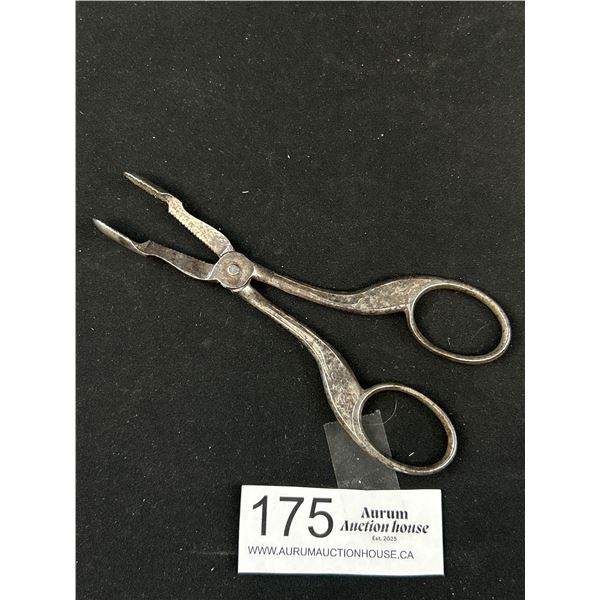 Pair of Ornate German Antique Surgical Scissors