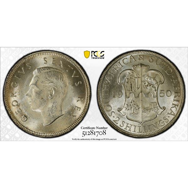 SOUTH AFRICA: George VI, 1936-1952, AR 2 shillings, 1950, PCGS MS63