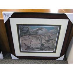 Limited Edition Print 132/495 "picnic Island" By