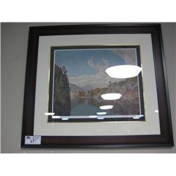 Limited Edition Print 240/495 "goodmorning On