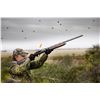 Image 1 : Argentina Dove Hunt for 4 Hunters