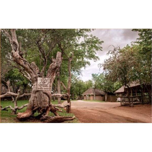 Safari of a Lifetime: 7-Day South African Hunt for 4