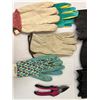 Image 2 : Assortment of Gardening Items