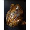 Image 2 : Frog Sponge Holder