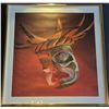Image 1 : Framed Print – Northwest Coast Ceremonial Mask (Museum of Anthropology)