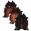 Image 1 : Brazilian Tornasol Hair-On Cowhide