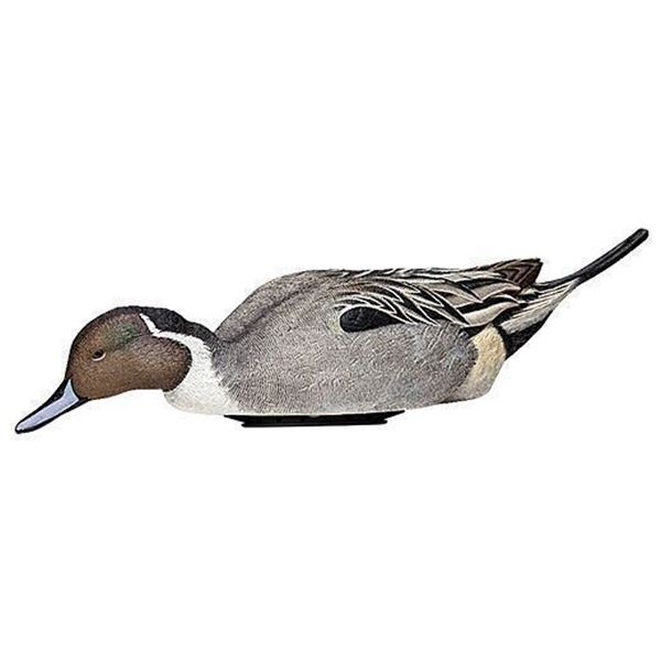 AVIAN X POWER SHAKER PINTAIL SURFACE FEEDER DECOY