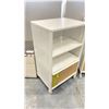 Image 2 : PORTABLE METAL CABINET WITH 1 DRAWER 24" X 18" X 40"H