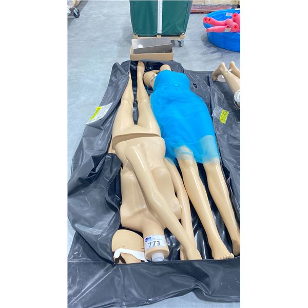 (2) ASSORTED MANNEQUINS WITH CARRY BAG
