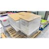 Image 2 : (3) PORTABLE 2 DRAWER FILE CABINETS