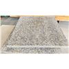 Image 2 : PALLET OF (12) 24" X 24" X 1.5" AGGREGATE CONCRETE SLABS