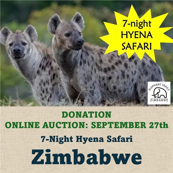 7-Night Hyena Safari in Zimbabwe