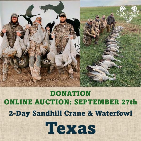 2-Day Sandhill Crane & Waterfowl in Texas