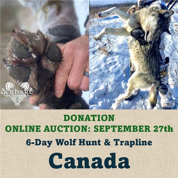 6-Day Wolf Hunt & Trapline in Canada