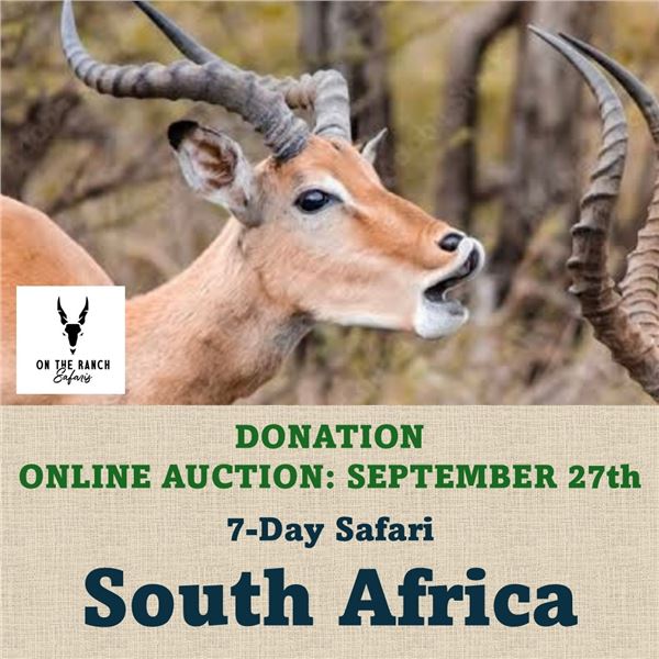 7-Day Safari in South Africa