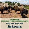Image 1 : 1-Day Ram & Hog Hunt in Arizona