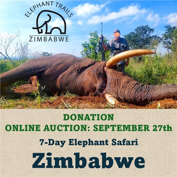 7-Day Elephant Safari in Zimbabwe