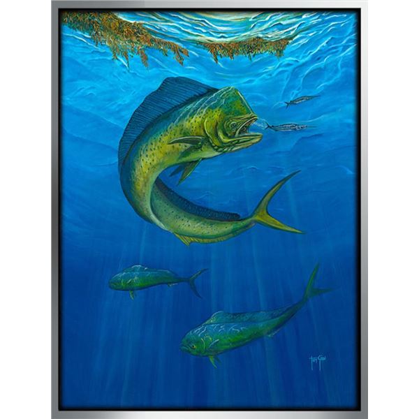 The Bull Of The Sea By Tom Gion